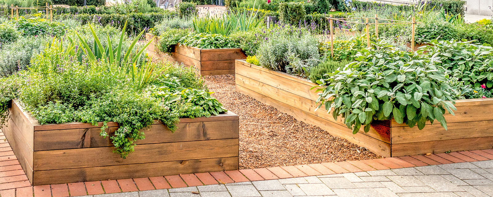 jardin comestible