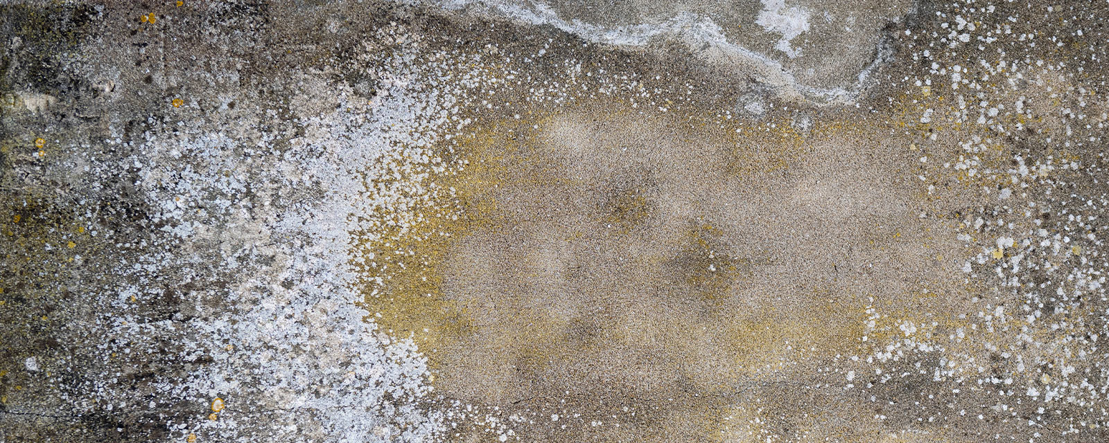 efflorescence