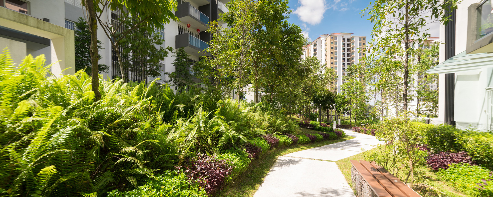 jardin urbain