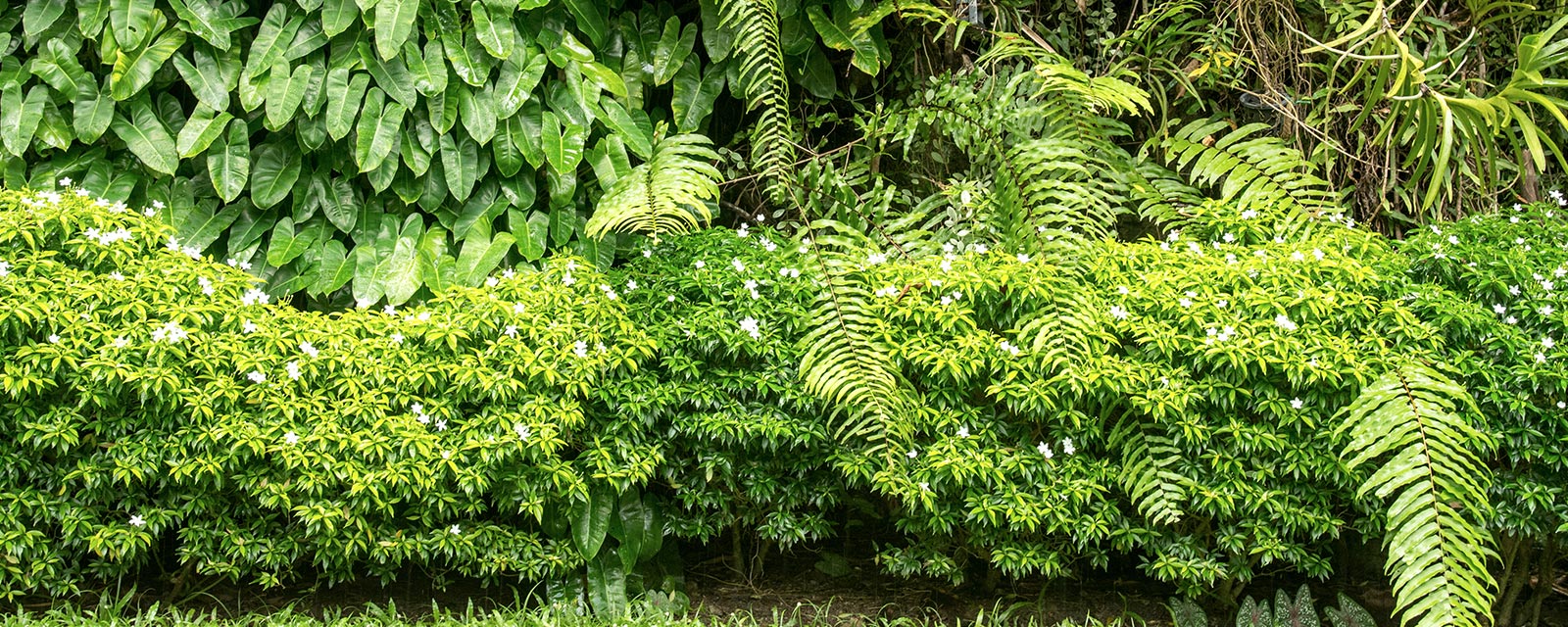 Panneaux occultants dans le jardin