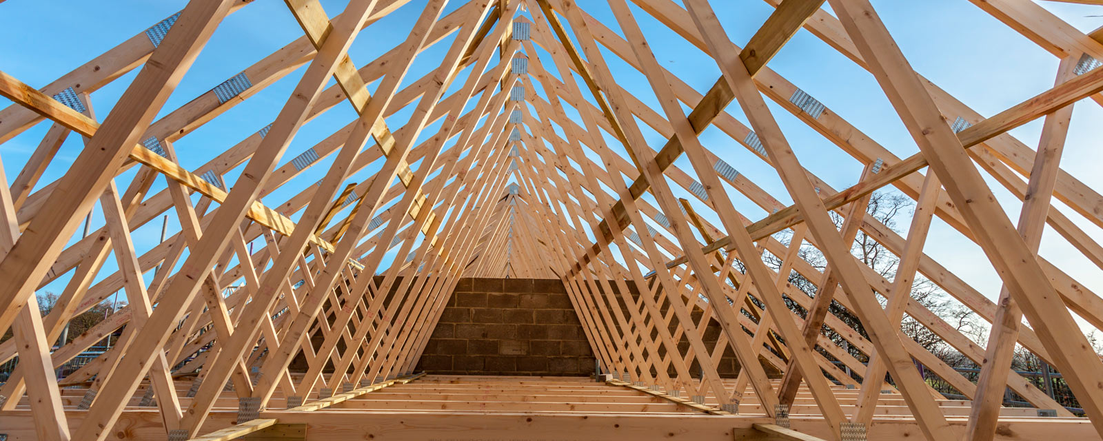 charpente en bois en construction
