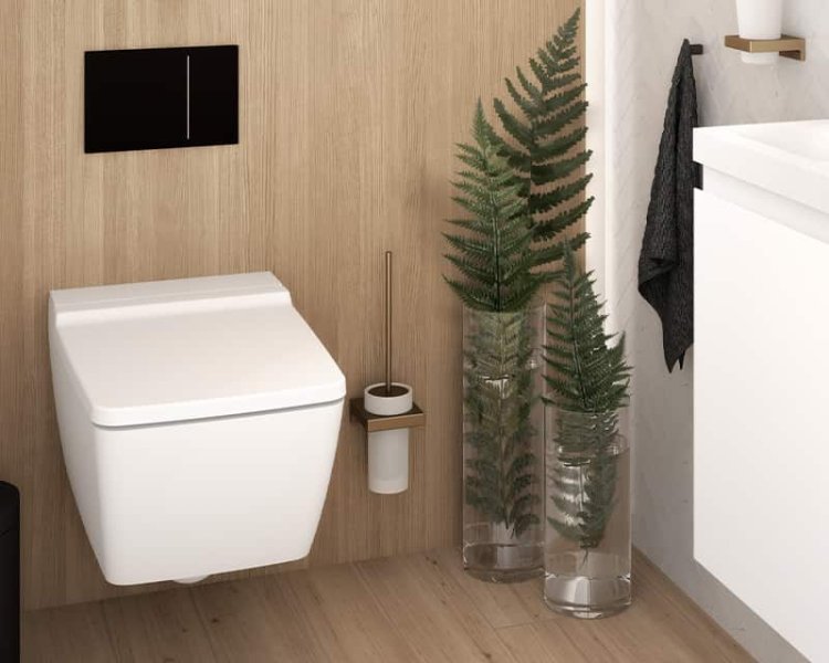 WC avec plaque de commande de chasse d'eau