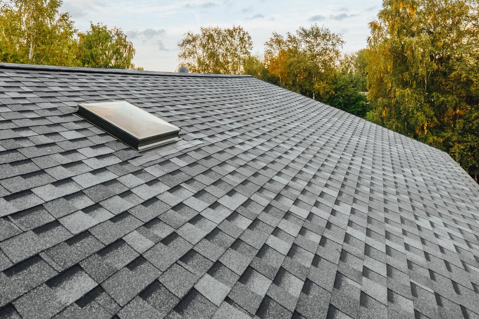toiture en shingle