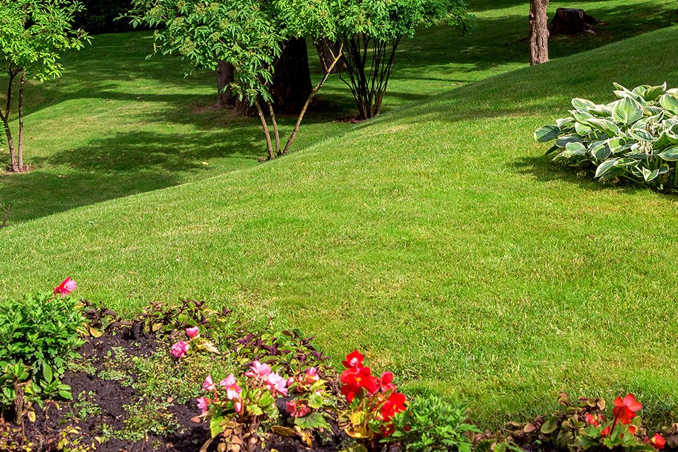 jardin en pente