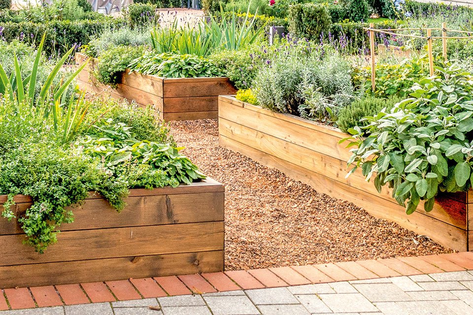 jardin comestible