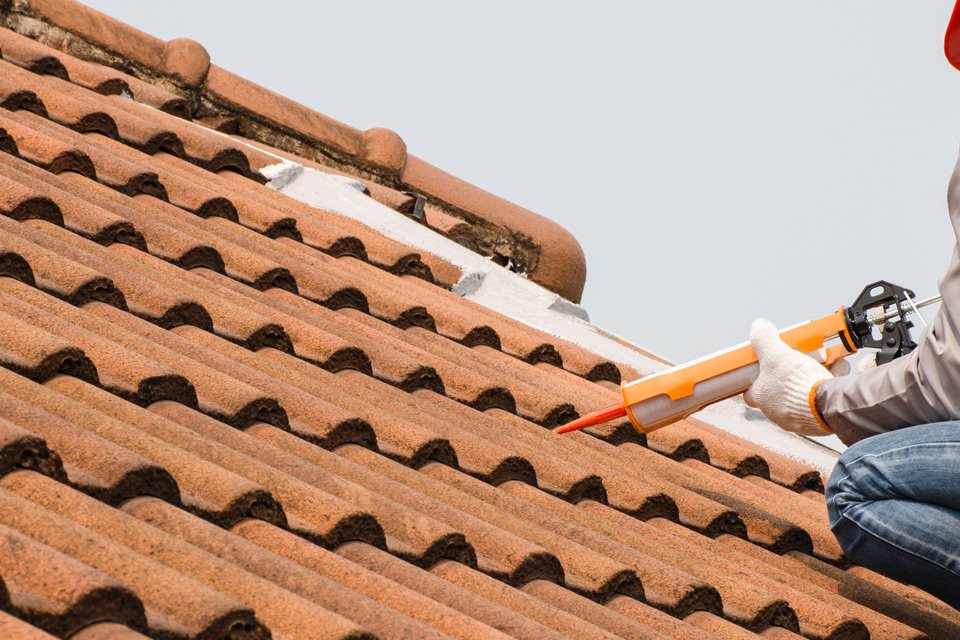 rénovation de toiture