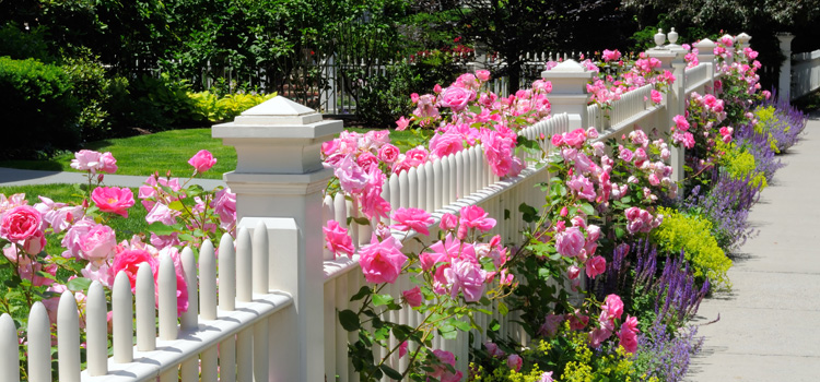 clôture de jardin