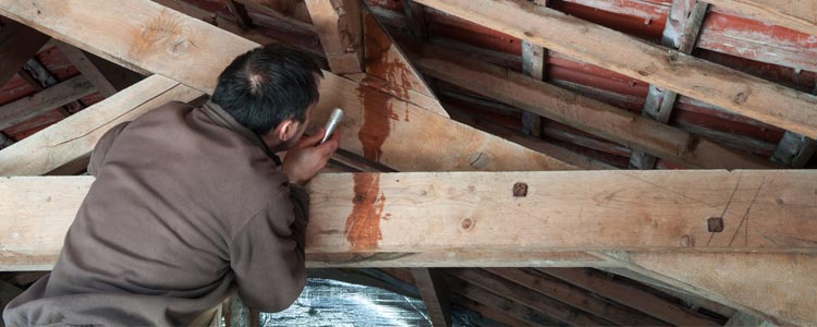 Artisan professionnel examinant la structure de la charpente