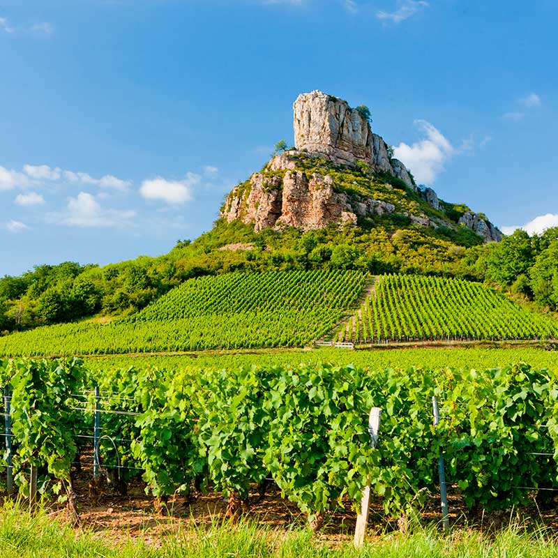 Bourgogne